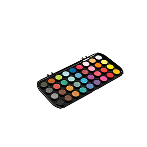 Watercolor Paint Professional