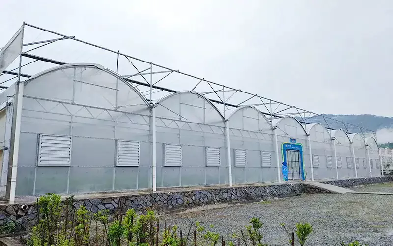 Why Should You Consider a Plastic Greenhouse for Your Gardening Needs?