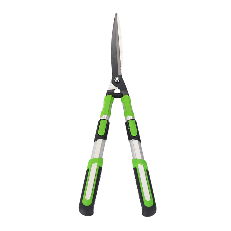 Mastering the Art of Garden Grooming with Hedge Shears