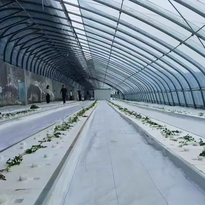 What Are Agriculture Tarps and Why Are They Essential for Farming?