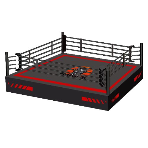 Custom Boxing Ring: Design Your Perfect Home Training Space