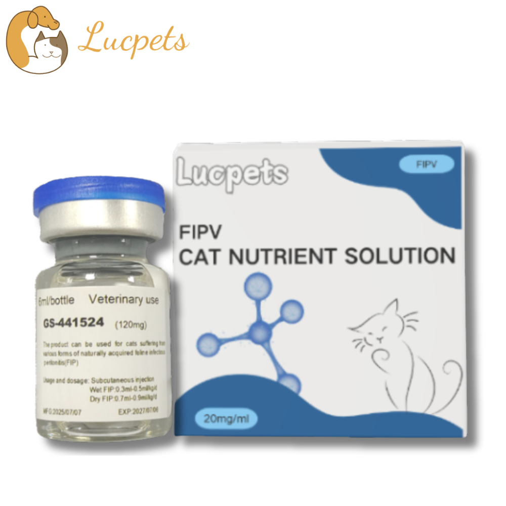 Veterinary GS-441524 Injection Distributor: Key Factors for Reliable Supply
